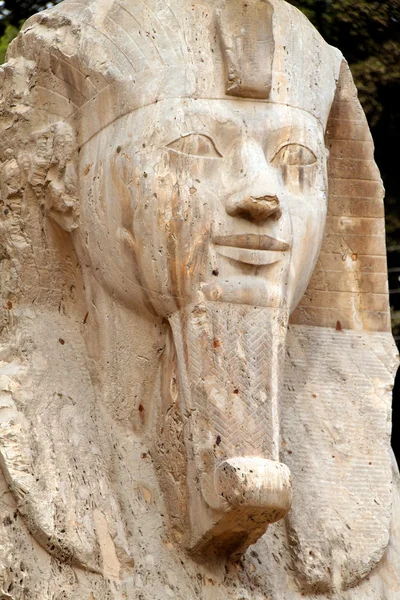 Egito, memphis , — Fotografia de Stock
