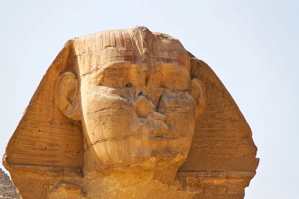 Egipto, guiza, esfinge — Foto de Stock