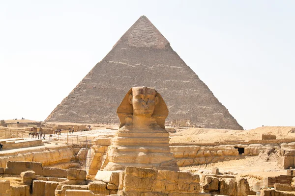 Sfenks giza, Mısır — Stok fotoğraf