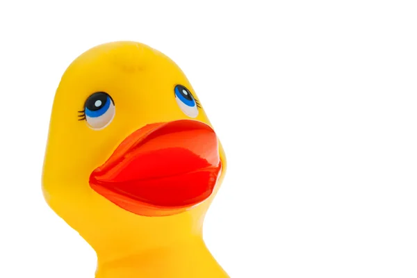 黄色塑料鸭 — 图库照片