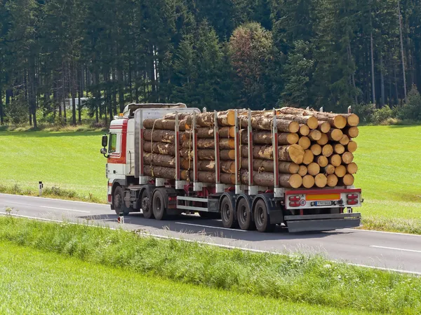 Transport von Baumstämmen auf einem LKW — Stockfoto