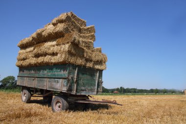 Straw harvesting clipart