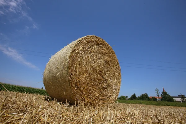 Sebuah ladang dengan bales jerami setelah panen di bidang pertanian — Stok Foto