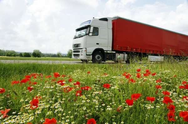 Вантажівка перед польовими квітами — стокове фото