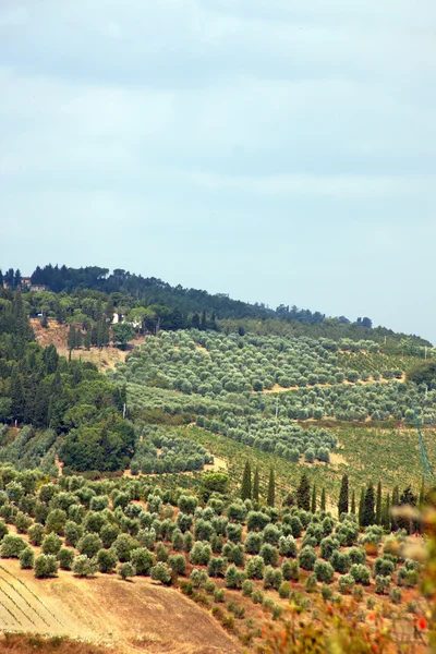 Stock image Italy, tuscany,