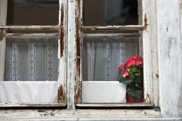 Vieilles fenêtres en bois pour rénovation — Photo