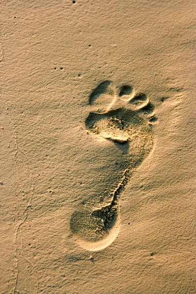 Spoor van een menselijke voet in het zand — Stockfoto