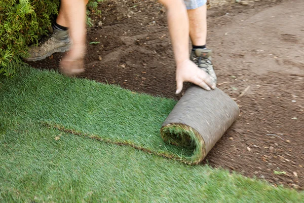 Il tappeto erboso è posato da giardiniere — Foto Stock