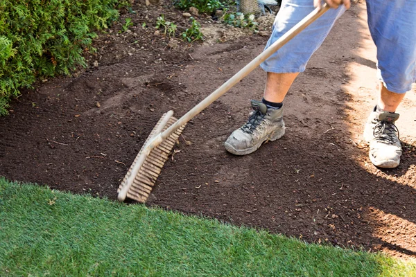 Turf is laid by gardener — Stock Photo, Image