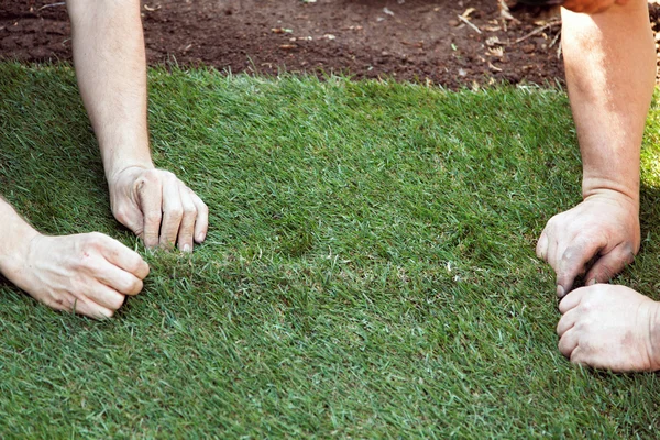 Turf is laid by gardener — Stock Photo, Image