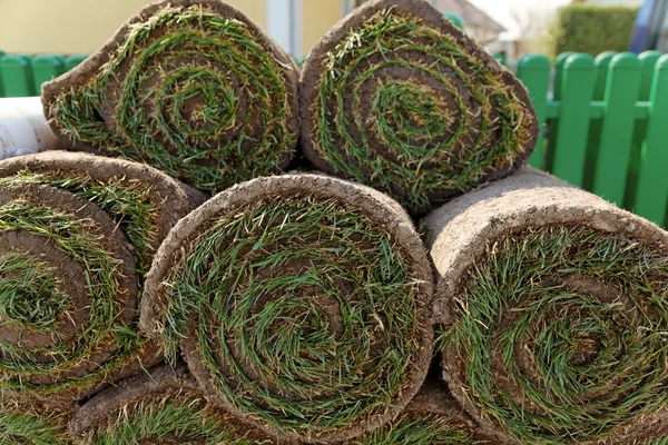 Il tappeto erboso è posato da giardiniere — Foto Stock