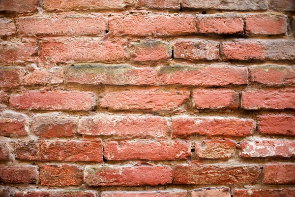 Un mur de briques pour l'arrière-plan — Photo