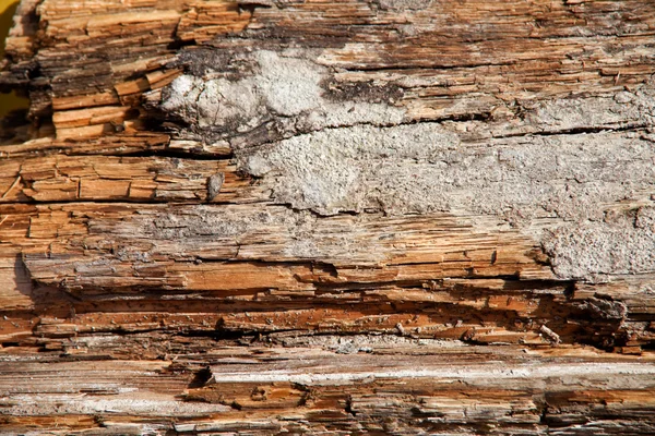 テキスト領域と古い木製の背景 — ストック写真