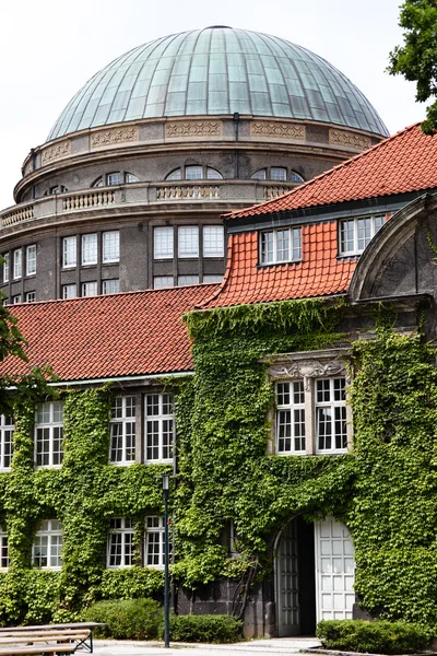 Niemcy, Uniwersytet w Hamburgu — Zdjęcie stockowe