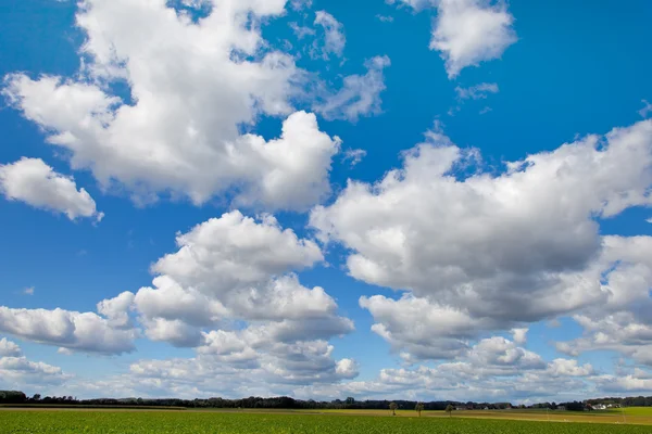 stock image Blue sky with white clouds as background