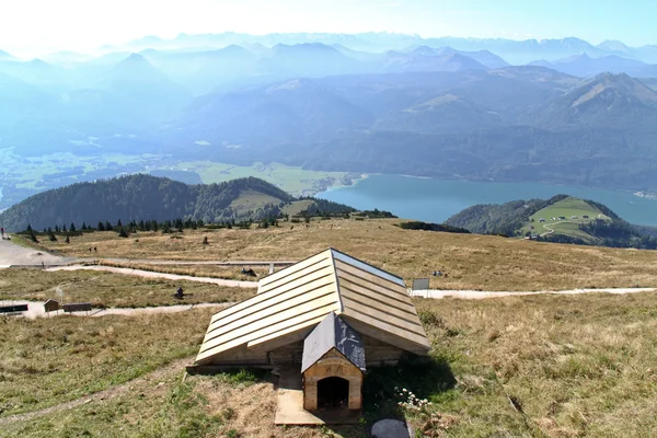 Austria, vista de ovejas de montaña —  Fotos de Stock