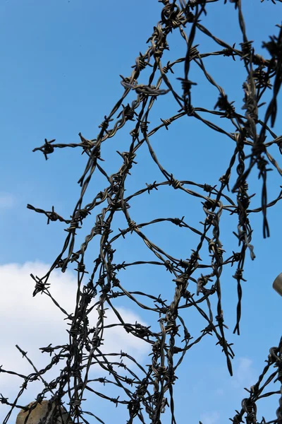 Barbed wire fence at a — Stock Photo, Image