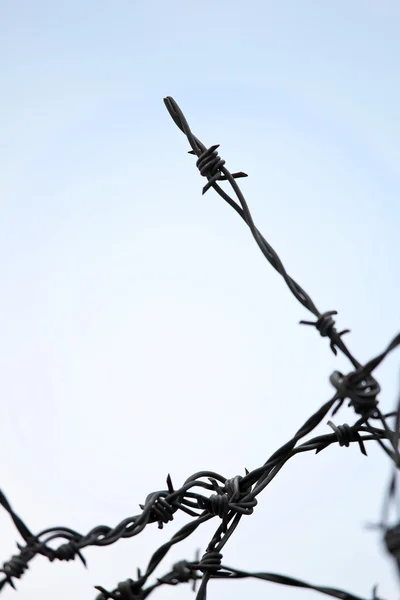 Cerca de arame farpado em um — Fotografia de Stock