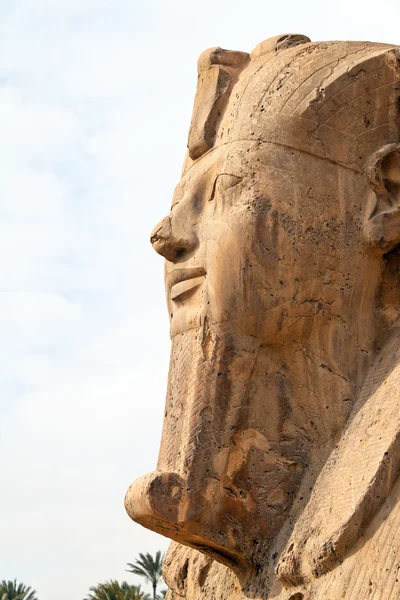 Egypten, memphis , - Stock-foto