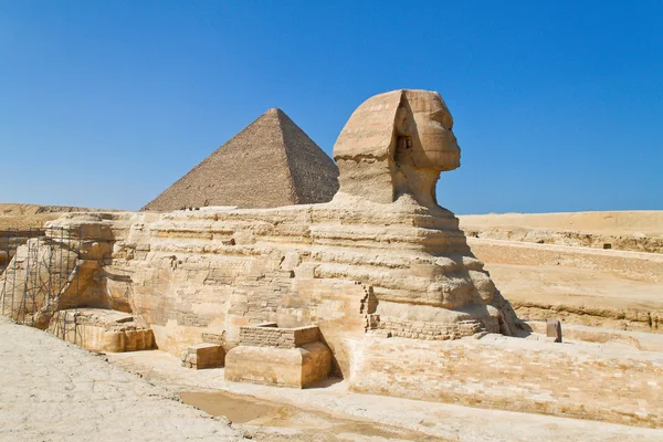 Египет, гиза, сфинкс — стоковое фото