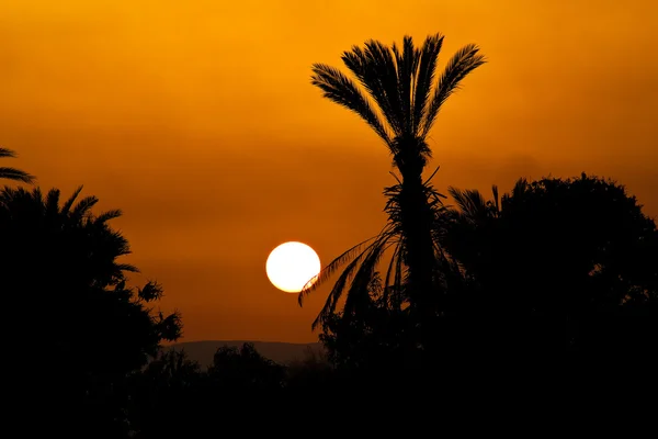 Coucher de soleil en Egypte — Photo