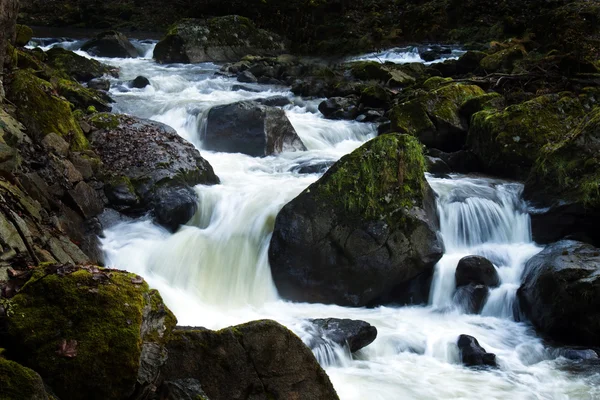 Su ve taşlar (kayalar çalışan ile Creek) — Stok fotoğraf