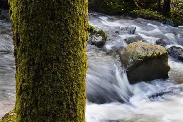 Bach mit fließendem Wasser und Steinen (Felsen) — Stockfoto