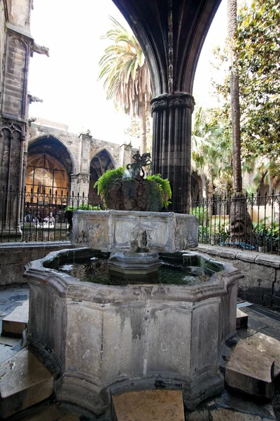 Spain - barcelona - la catedral - cloister — Stock Photo, Image
