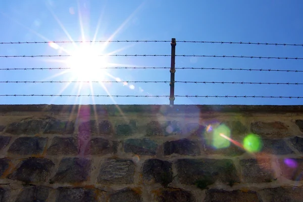 青い空に対する有刺鉄線フェンス — ストック写真
