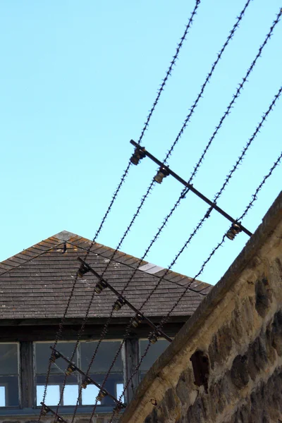Ostnatý drátěný plot proti modré obloze — Stock fotografie