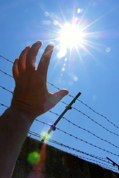 Rukou a ostnatý drát plotu proti modré obloze — Stock fotografie