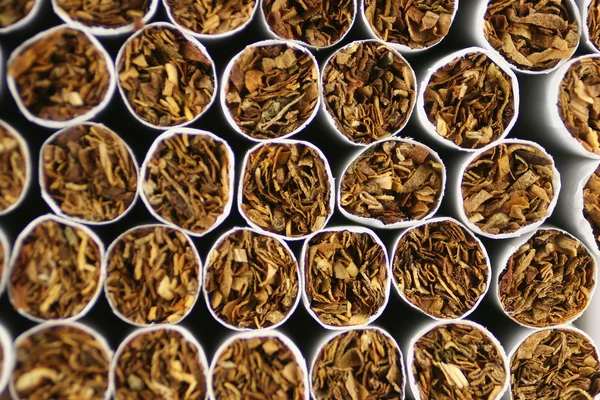 Primer plano de un cigarrillo para fumar — Foto de Stock