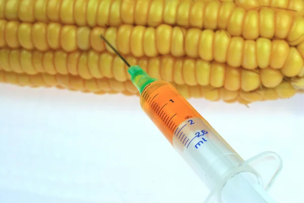 stock image Closeup of sweet corn and a syringe