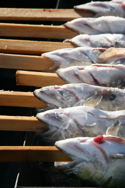 Öring fisk redo för förberedelse — Stockfoto