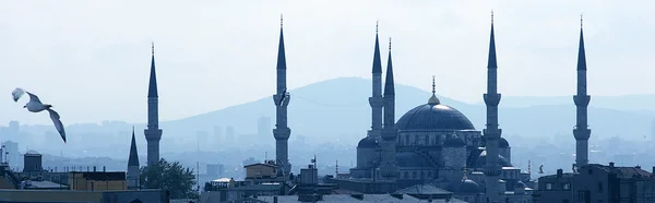 Hagia sophia mosque — Stock Photo, Image