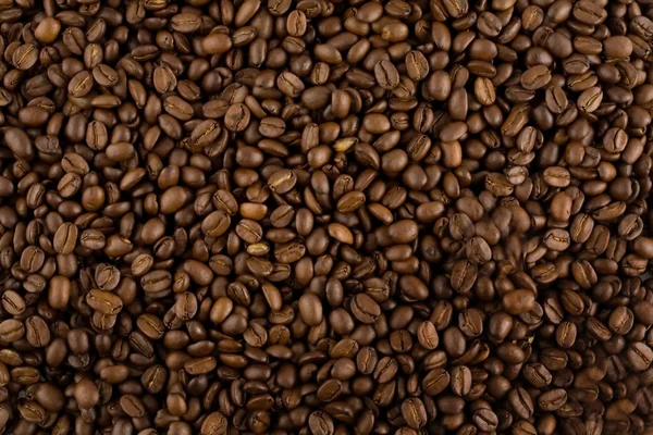 Caffè marrone — Foto Stock
