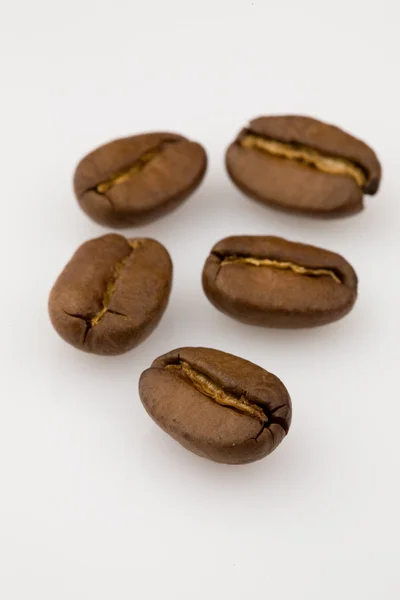 Rostade kaffebönor — Stockfoto