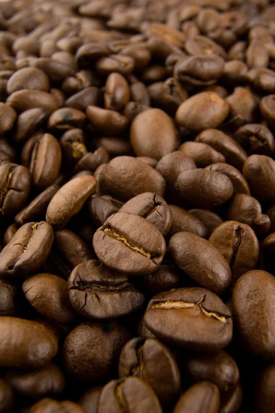 Café marrón — Foto de Stock