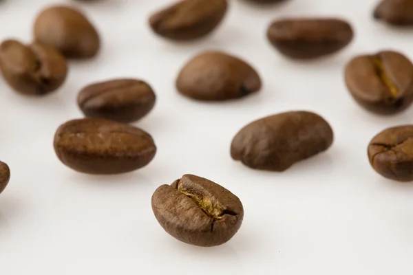 Cofee beans at the fabrique — Stock Photo, Image