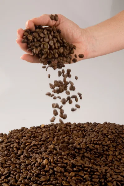 コーヒー豆と手します。 — ストック写真
