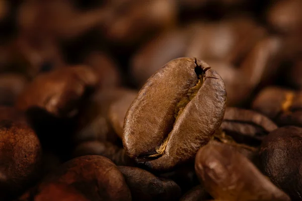 Cofee-Bohnen an der Fabrik — Stockfoto