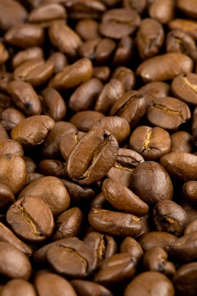 コーヒー豆、ファブリーク — ストック写真