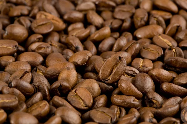 Haricots Cofee à la manufacture — Photo