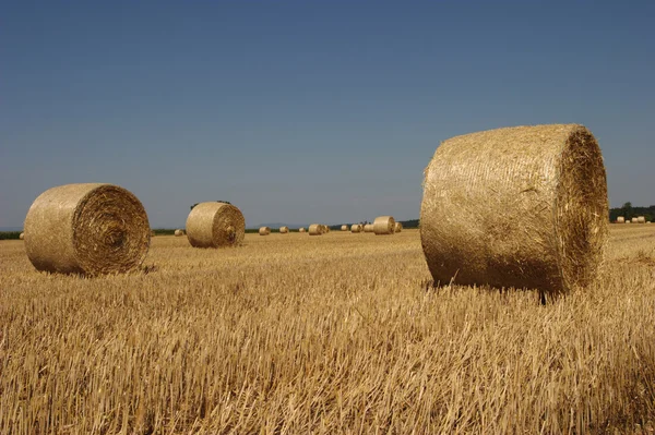 Golden Hay Bales in the countryside. — Stock Photo, Image