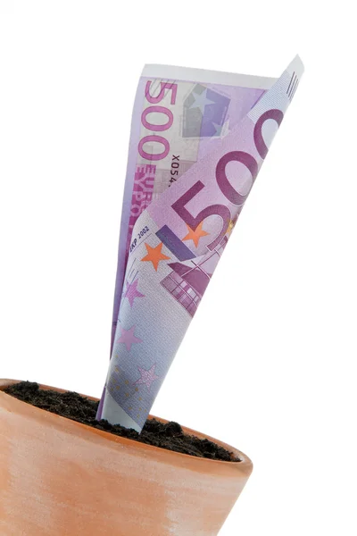 Euro-bill in bloempot. rente, groei. — Stockfoto