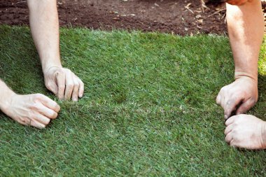 Turf is laid by gardener clipart