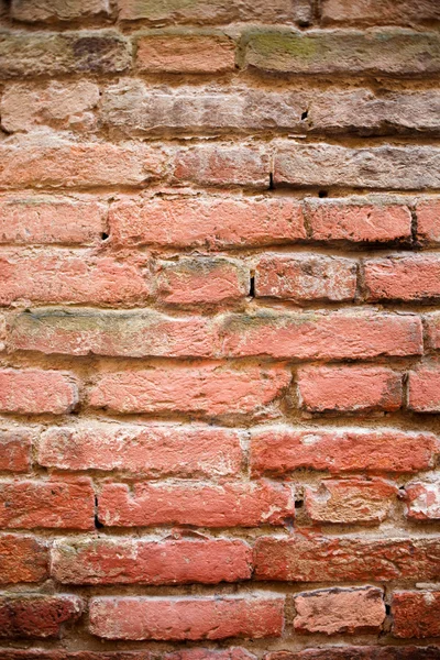 Un mur de briques pour l'arrière-plan — Photo