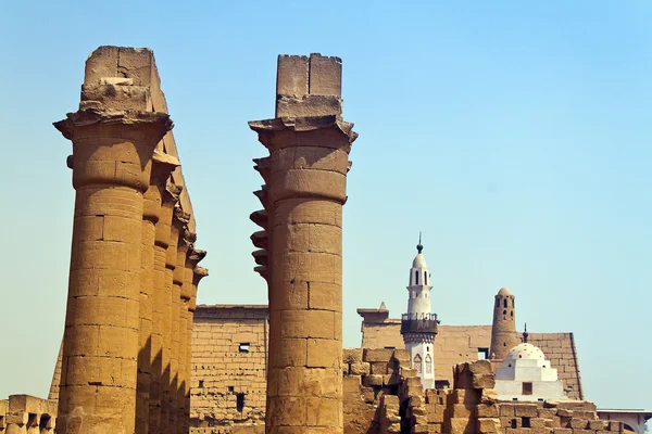 Egipto, luxor amun templo de luxor . —  Fotos de Stock
