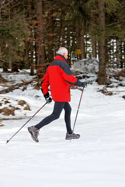 Starszy do nordic walking w zimie — Zdjęcie stockowe