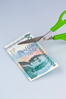 Swedish crowns. sweden's currency clipart